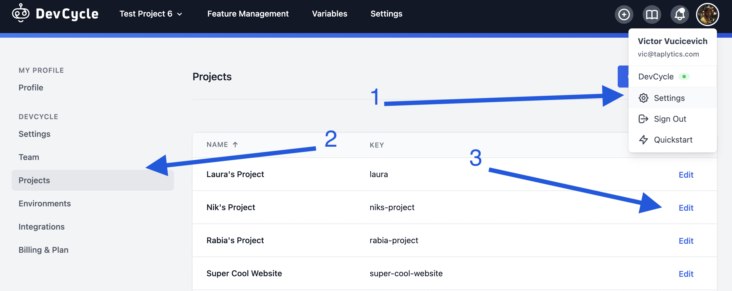 DevCycle project settings page