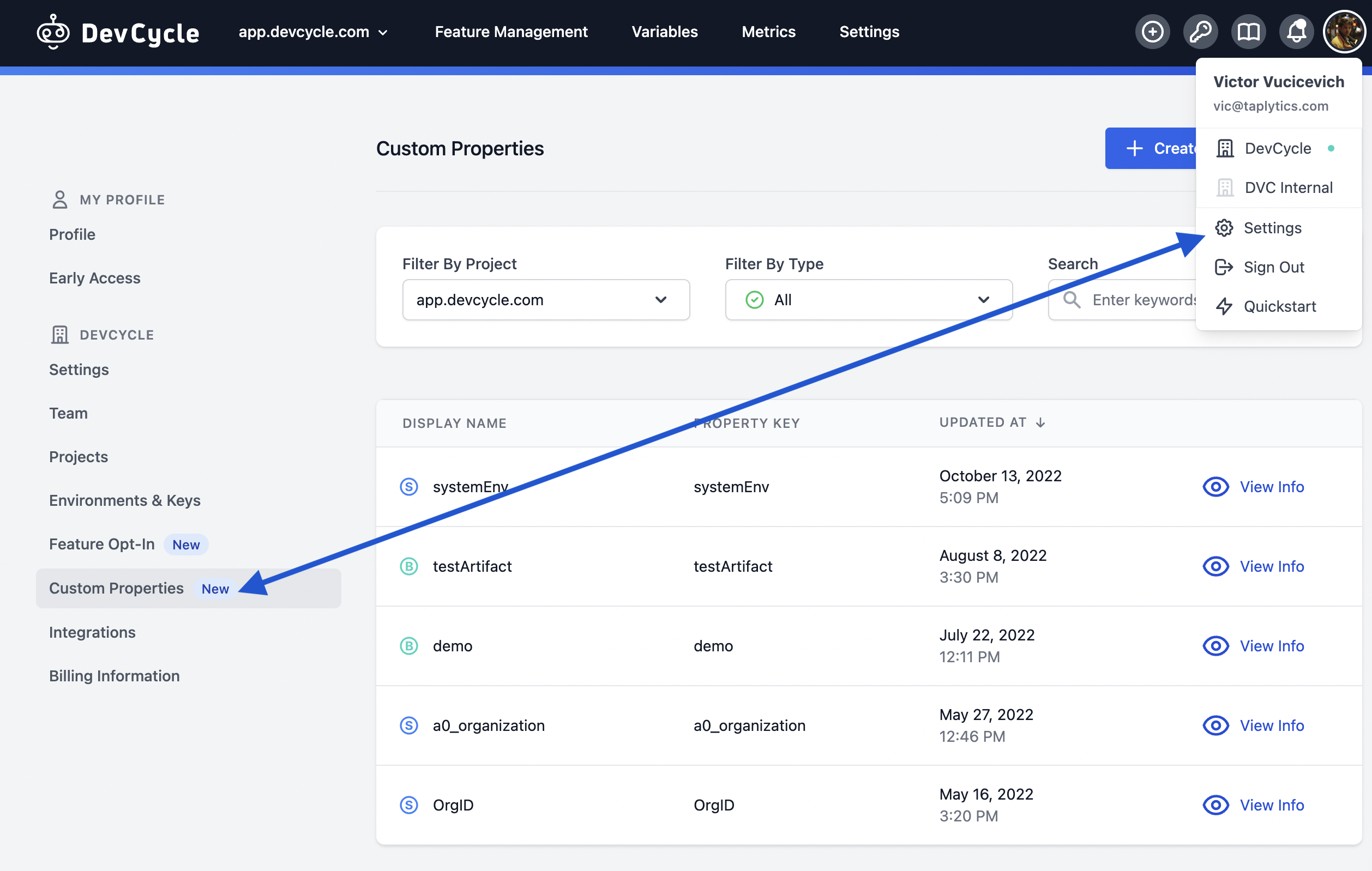 image of custom properties settings